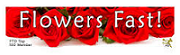 Flowers Fast Logo